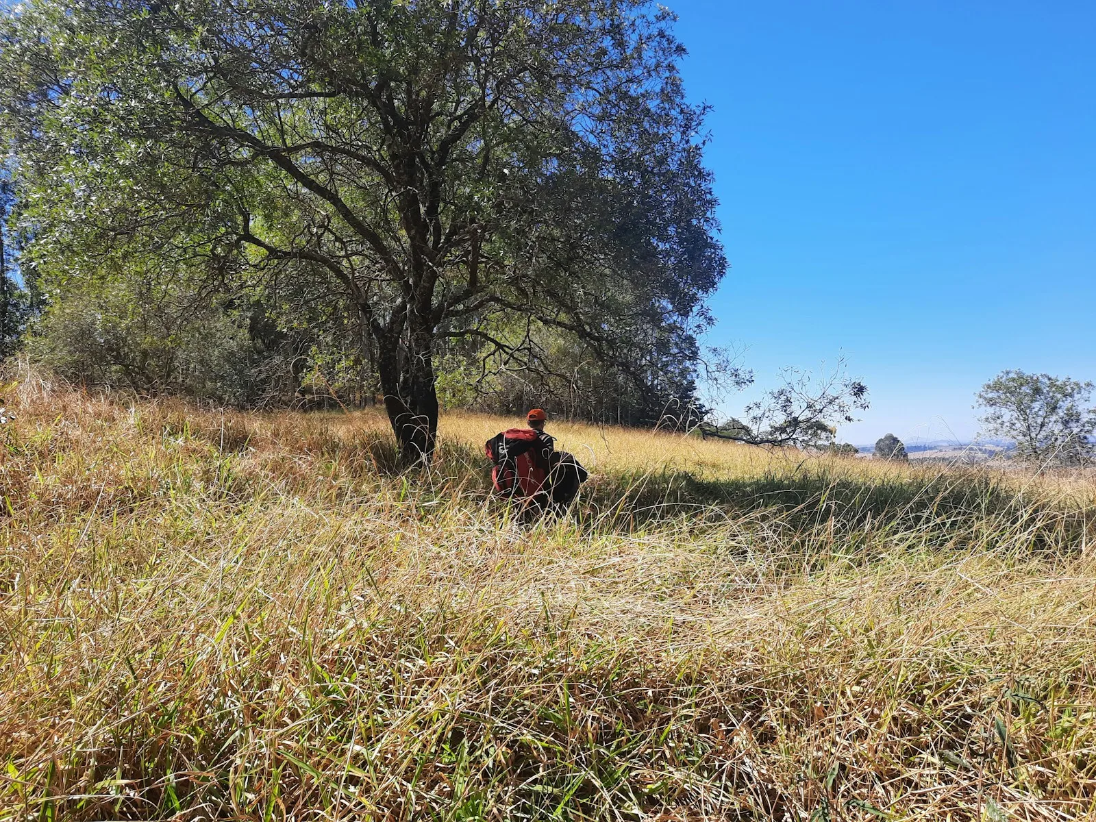 a man riding a motorcycle through a lush green field